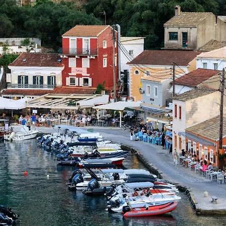 Villa Olive Petratika